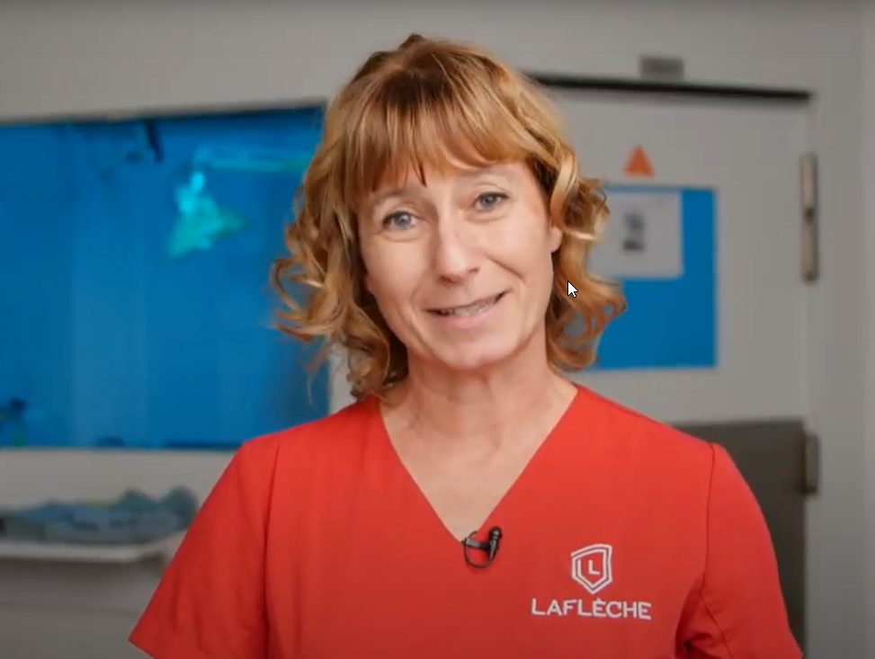 Image pour thumbnail de la vidéo